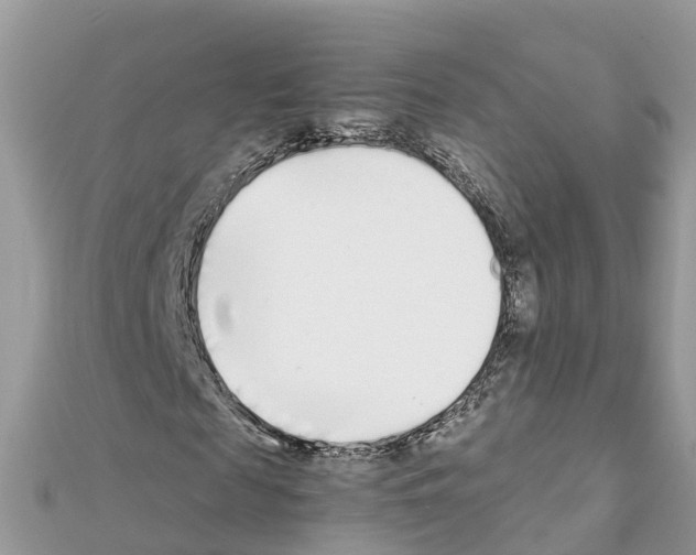 X0000111250817200908131205