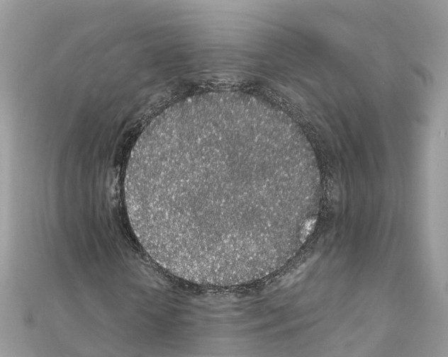 X0000111250818200908131205