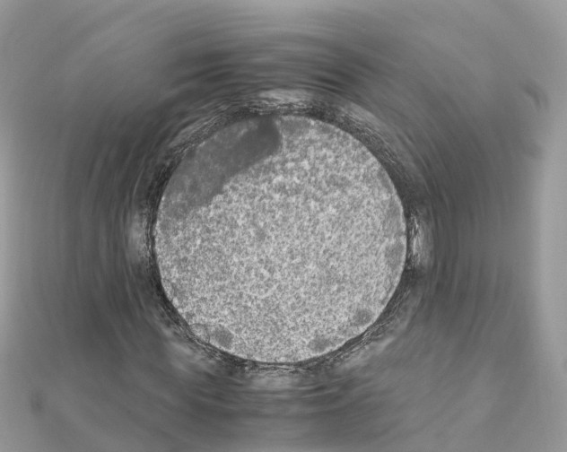 X0000111250819200908131205