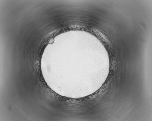 X0000111250821200908131205