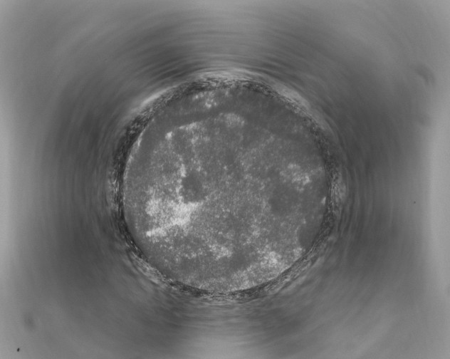 X0000111250822200908131205