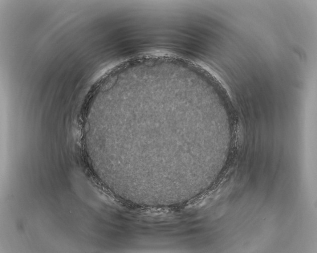 X0000111250823200908131205