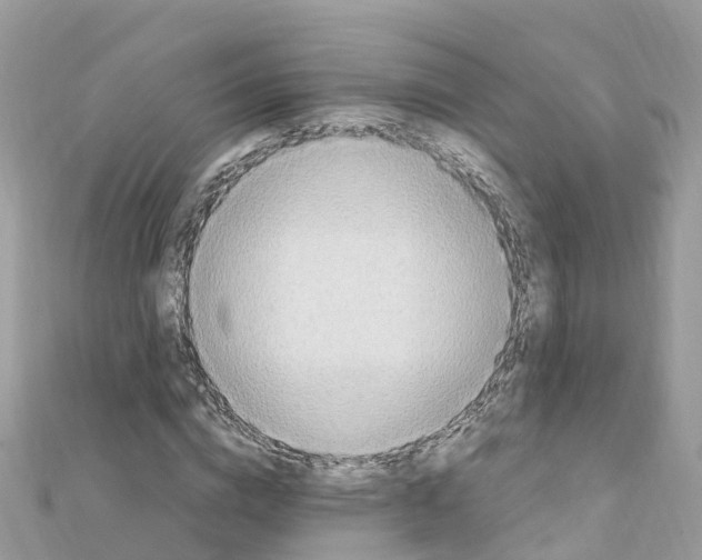 X0000111250824200908131205