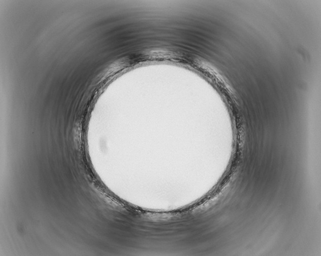 X0000111250825200908131205