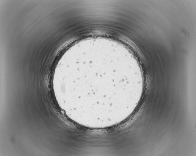 X0000111250826200908131205