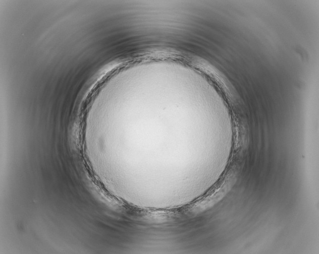 X0000111250828200908131205