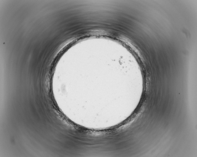 X0000111250829200908131205