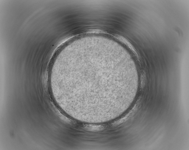 X0000111250831200908131205