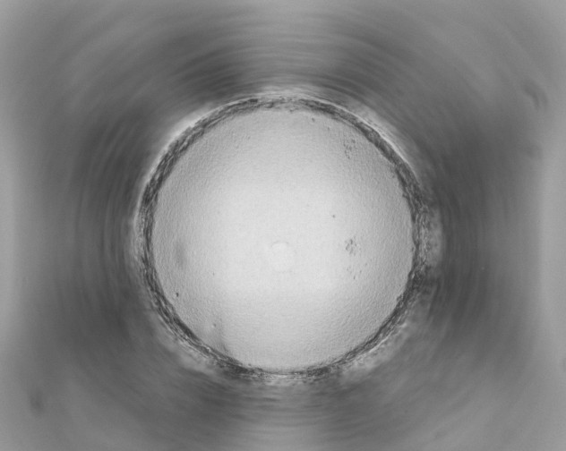 X0000111250832200908131205