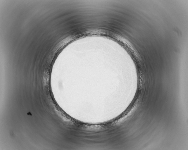 X0000111250833200908131205