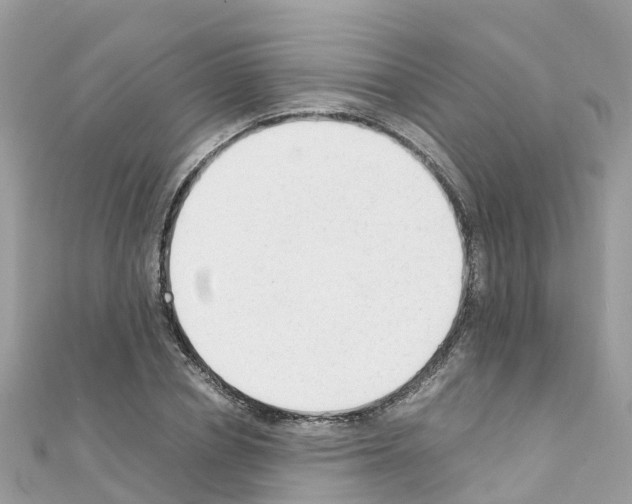 X0000111250834200908131205