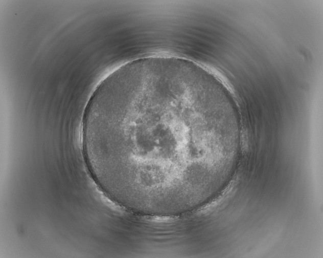 X0000111250839200908131205