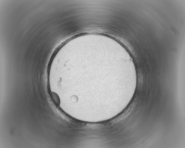 X0000111250840200908131205