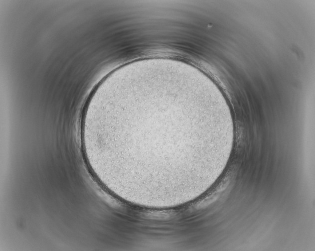 X0000111250843200908131205