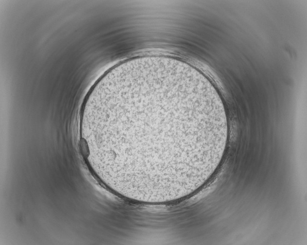 X0000111250844200908131206