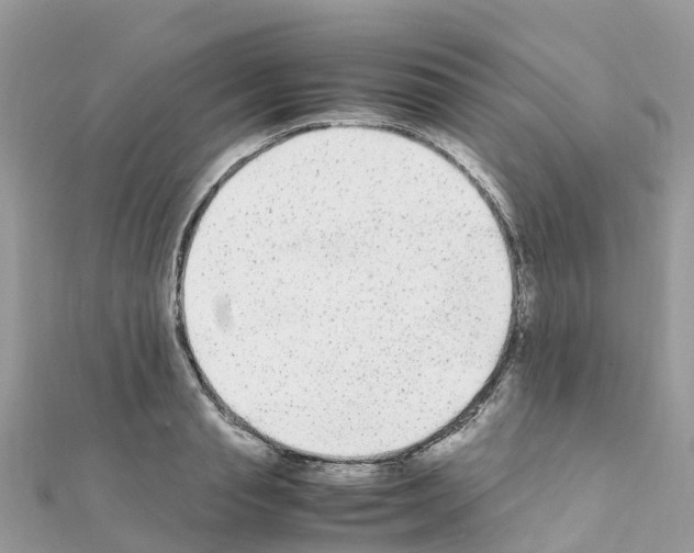 X0000111250845200908131206