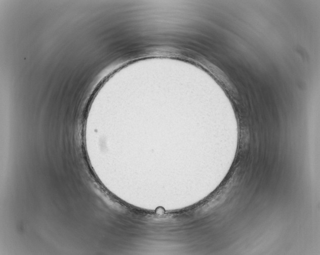 X0000111250846200908131206