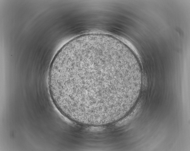 X0000111250847200908131206