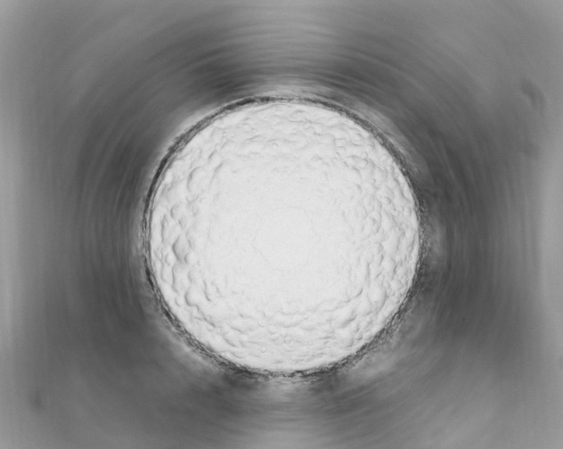 X0000111250848200908131206