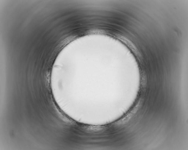 X0000111250849200908131206