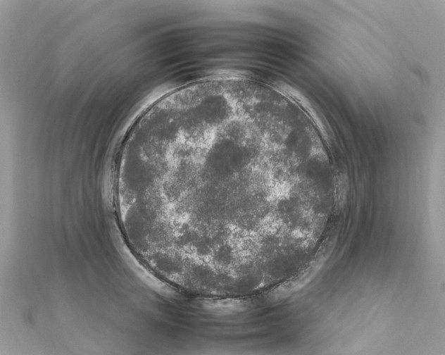 X0000111250851200908131206