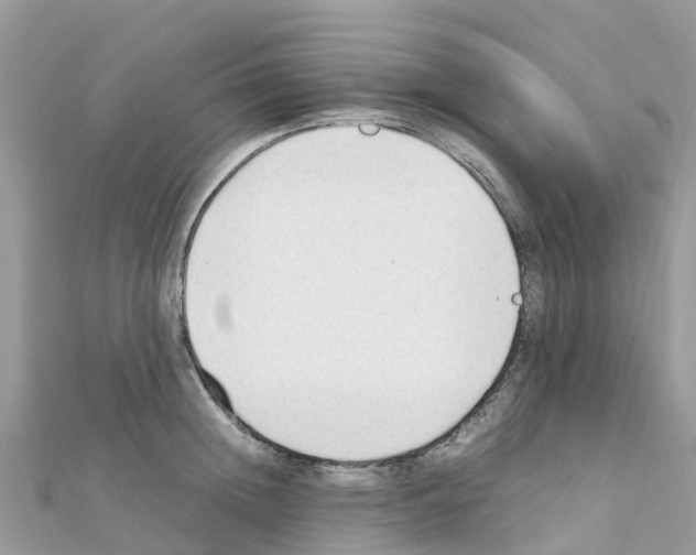 X0000111250852200908131206