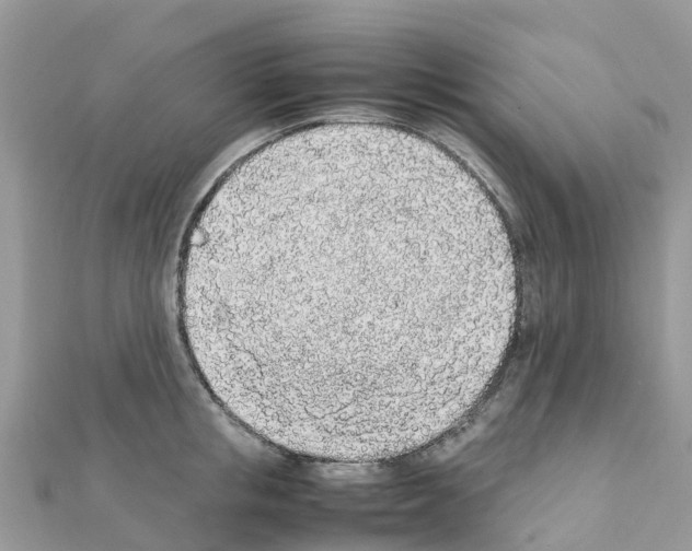 X0000111250853200908131206