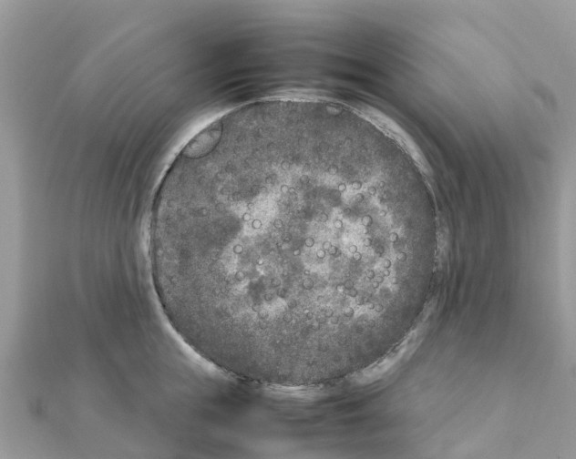 X0000111250855200908131206