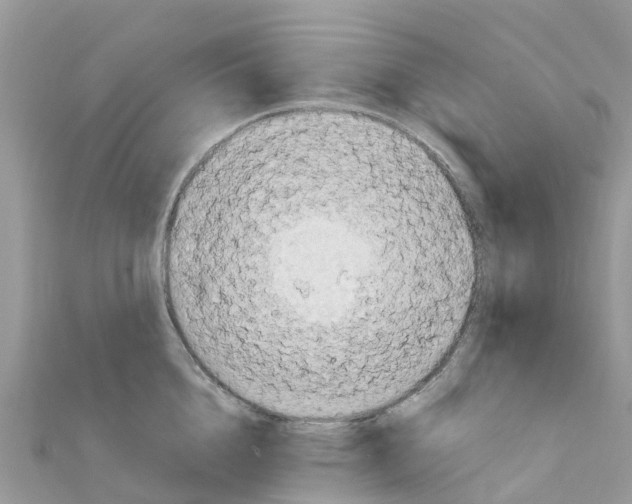 X0000111250856200908131206