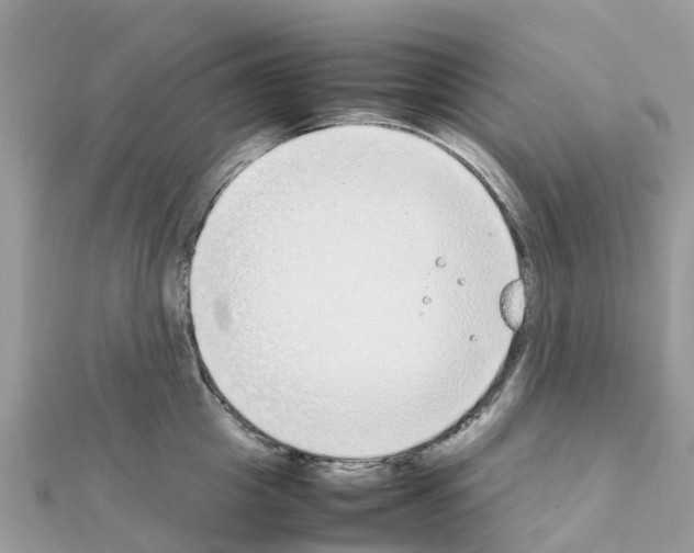 X0000111250857200908131206