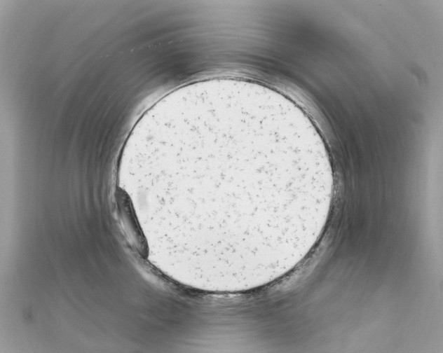 X0000111250858200908131206