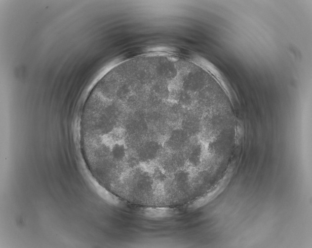 X0000111250859200908131206