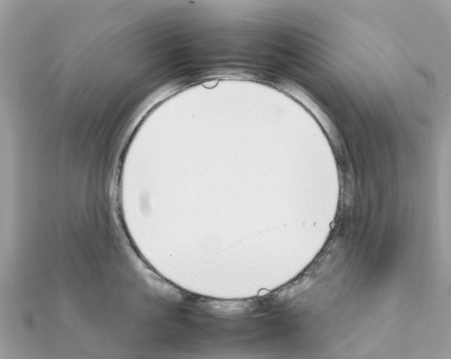 X0000111250861200908131206