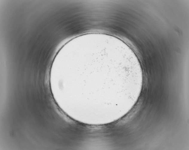 X0000111250862200908131206