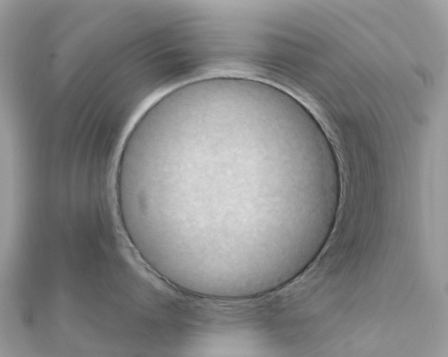 X0000111250864200908131206