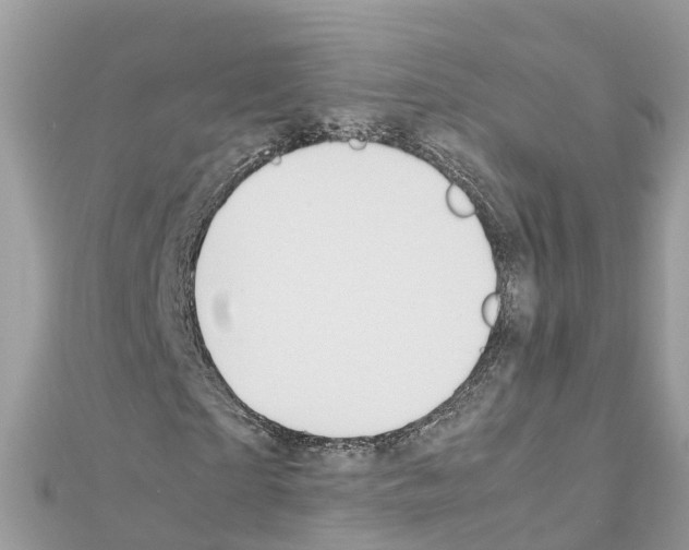 X0000111250865200908131205