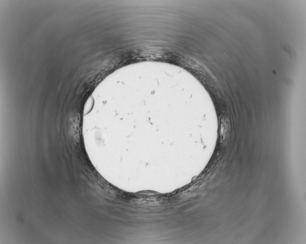 X0000111250867200908131205