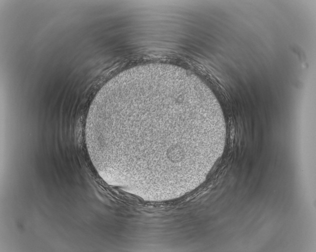 X0000111250868200908131205