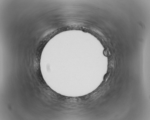 X0000111250869200908131205