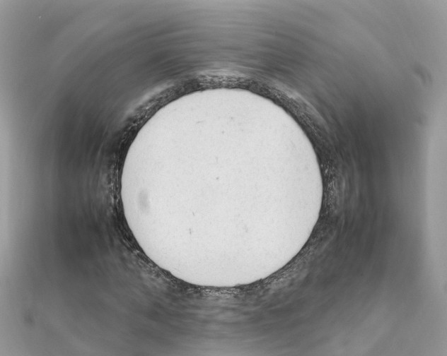 X0000111250870200908131205