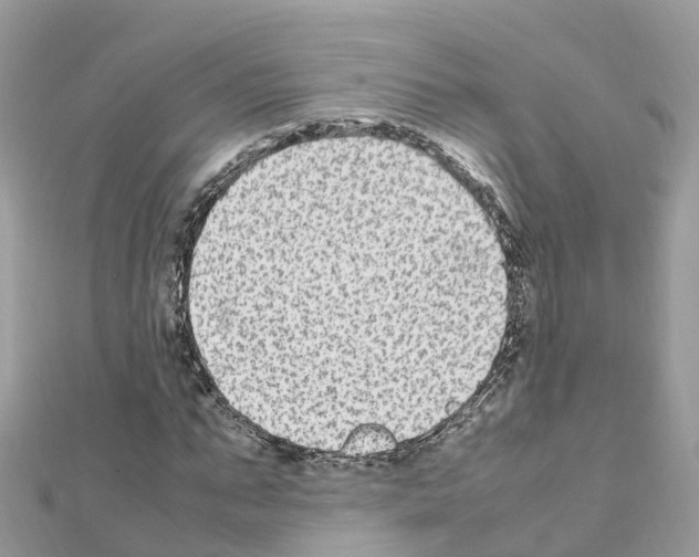 X0000111250871200908131205