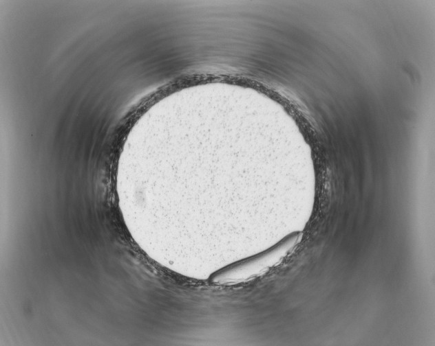 X0000111250872200908131205