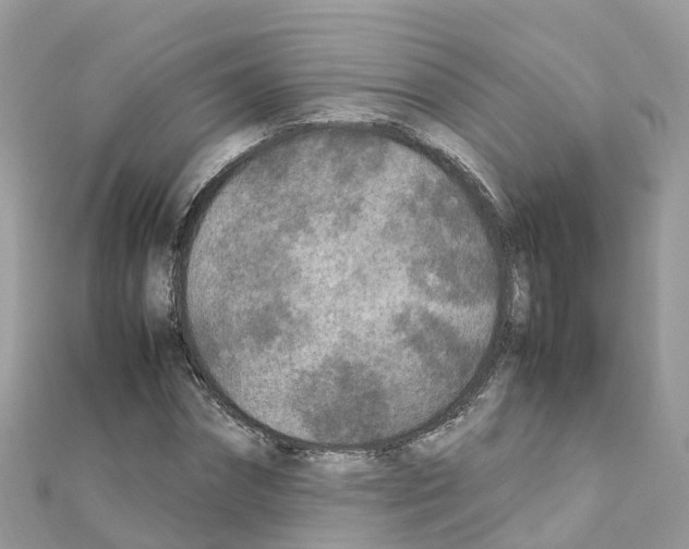 X0000111250874200908131205