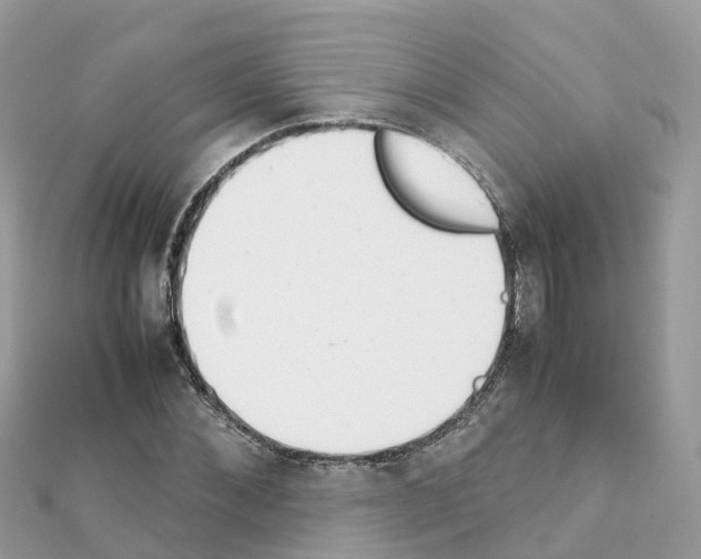 X0000111250876200908131205