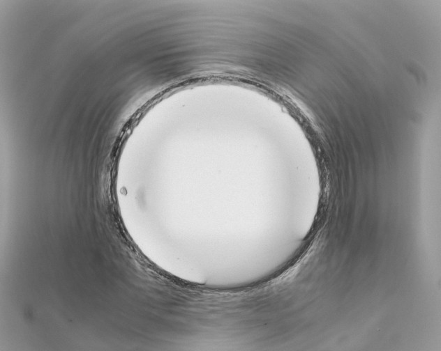 X0000111250877200908131205