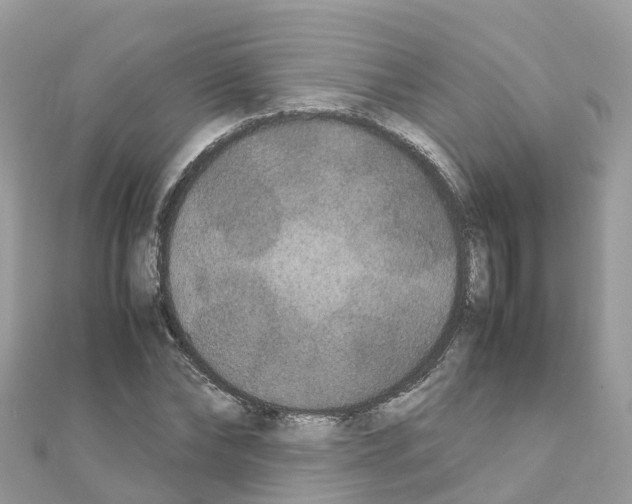 X0000111250878200908131205