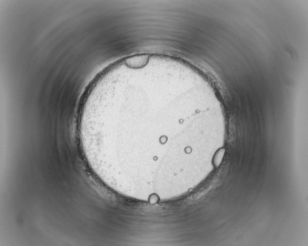 X0000111250880200908131205