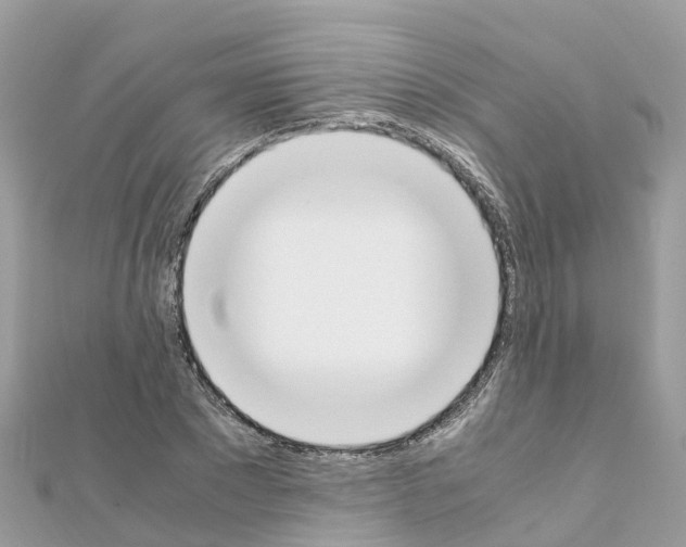 X0000111250881200908131205