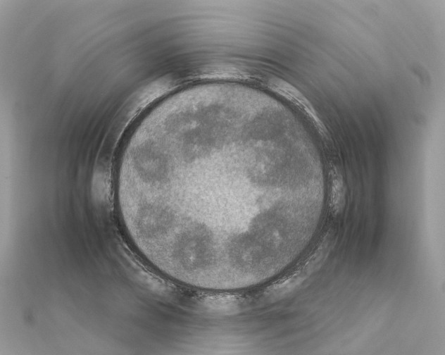 X0000111250882200908131205