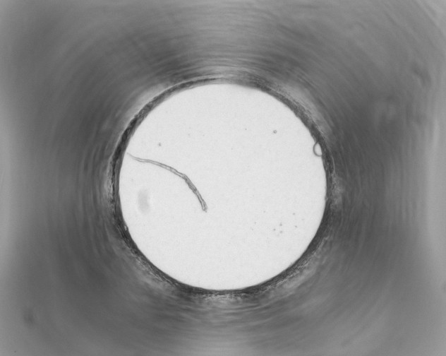 X0000111250883200908131205